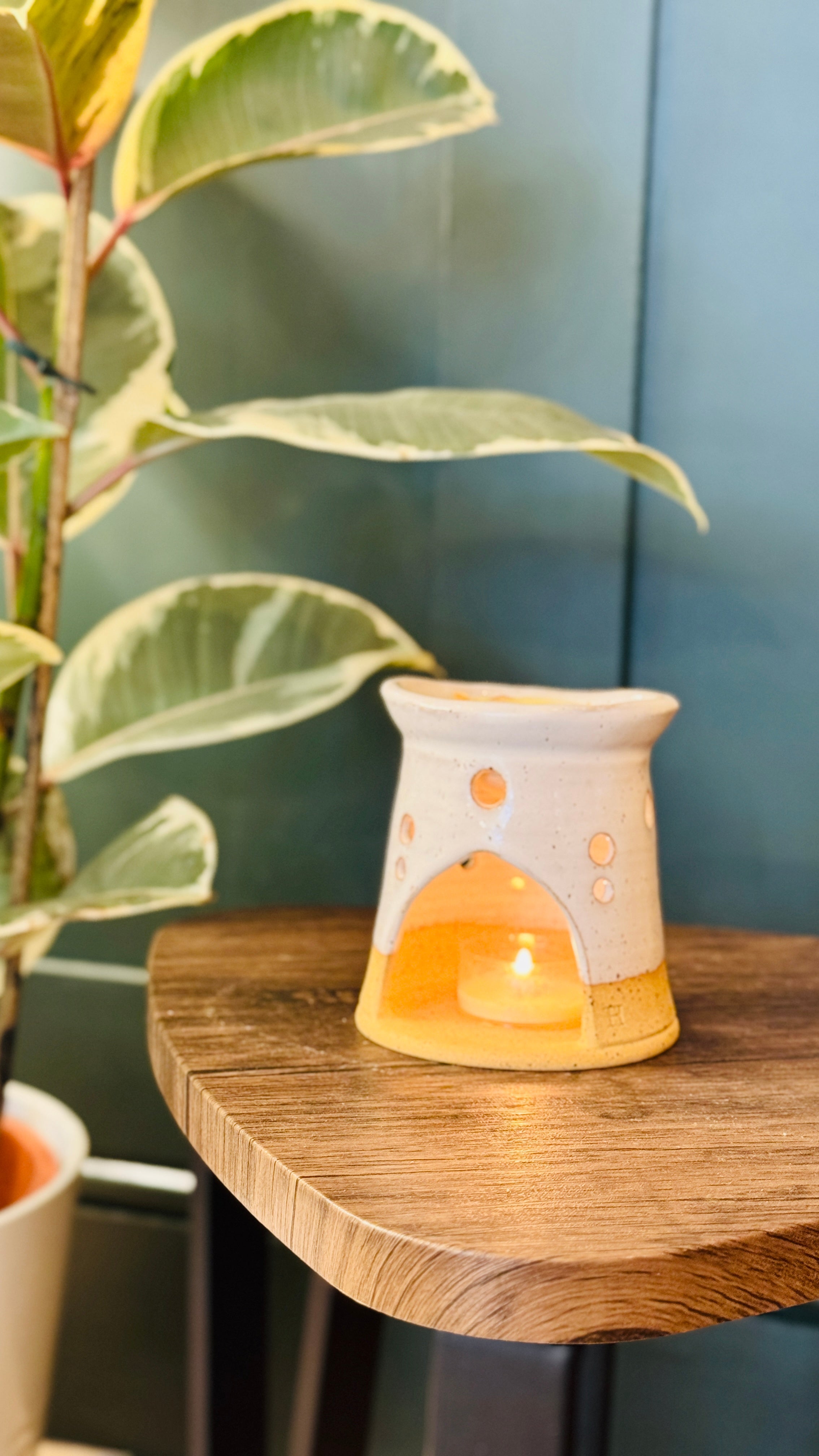 essential oil orange & lime wax melts burning on a burner, plant on the left hand side 